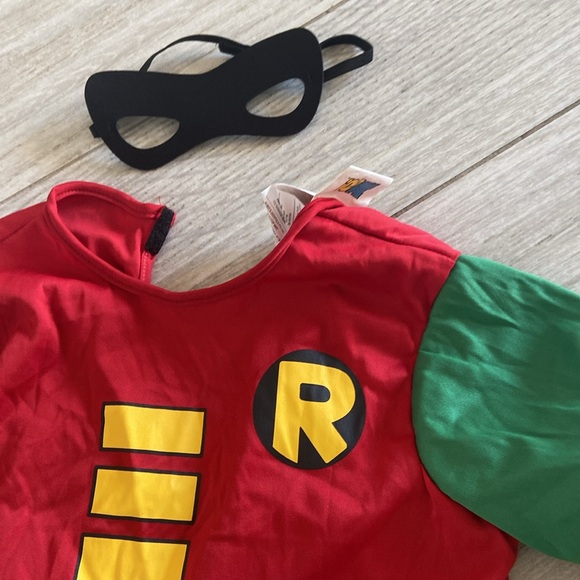 Robin costume - Picture 3 of 5